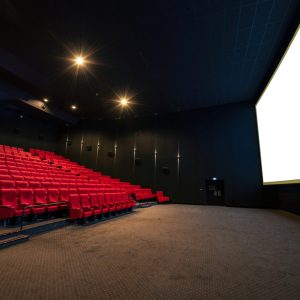 Salle de cinéma privatisée pour une avant-première d'entreprise