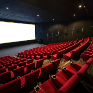 Salle de cinéma privatisée pour une avant-première d'entreprise